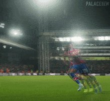 Crystal Palace Football GIF by CPFC
