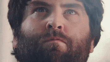 GIF by Shortlist