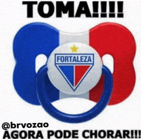 Brvozao GIF