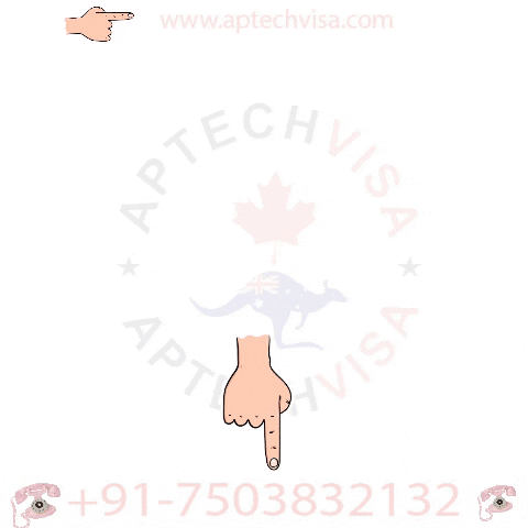 Canada Immigration Process GIF