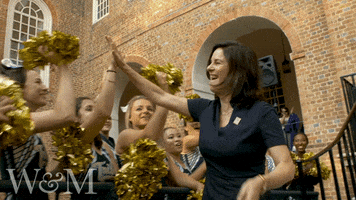 High Five Celebration GIF by William & Mary