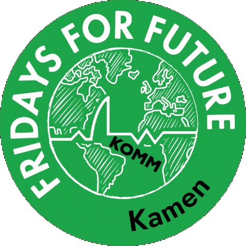 Fridays for Future Kamen Sticker