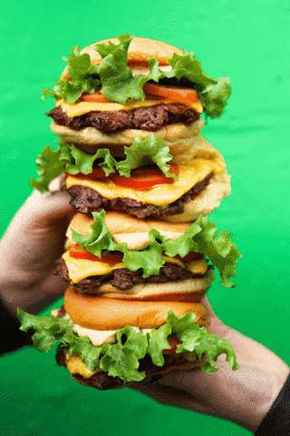Wollyburguer burguer xis wolly GIF