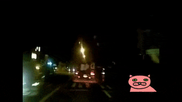 Palo GIF