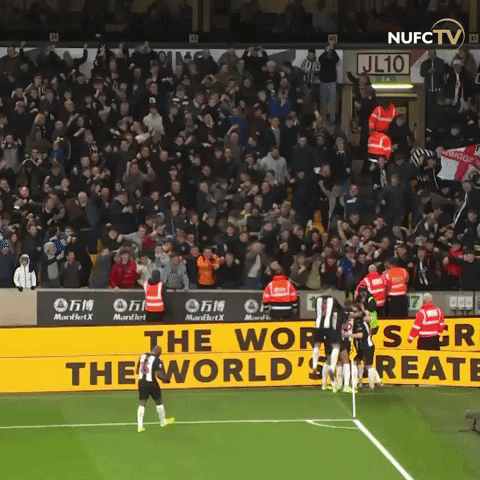 Celebrate Newcastle United GIF by Newcastle United Football Club