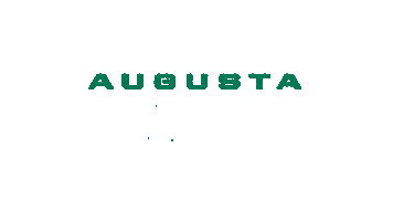 Baseball Augusta Sticker by GreenJackets