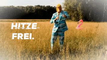party sommer GIF by Ingo ohne Flamingo