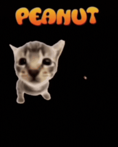 Peanut Butter Jelly Nostalgia GIF