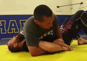 Bjj GIF