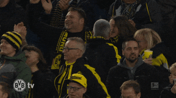Borussia Dortmund GIF