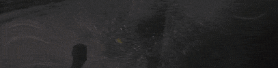 Frog Bikes GIF