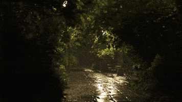 Wallpaper GIF