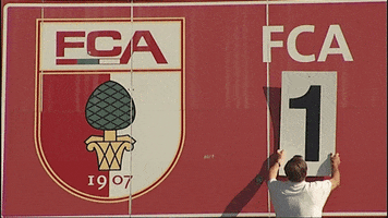Wwk Arena Goal GIF by FC Augsburg 1907