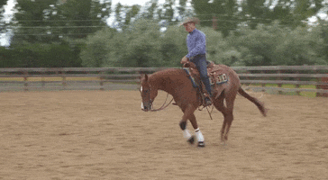 Horse&Rider Magazine GIF