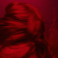200.gif?cid=fc005b086607db24675d50dc8ef95576db853c55cad38bd2&rid=200.gif&ct=g