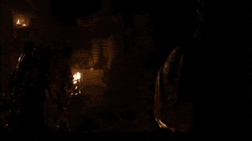 Arya GIF