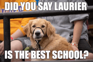Dogs Homecoming GIF by Wilfrid Laurier University
