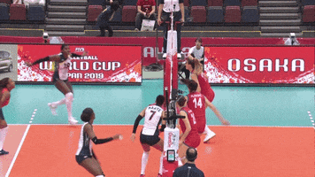 Republica Dominicana Wow GIF by Volleyball World