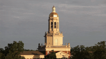 College Bears GIF by Baylor University