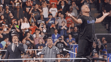 Shane Mcmahon Wrestling GIF by WWE