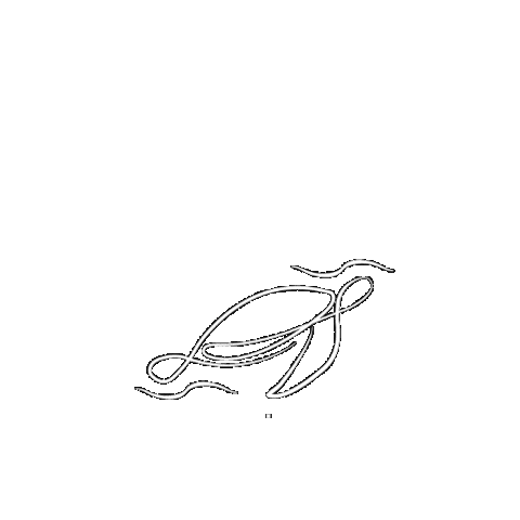 Rd Sticker by Roatan Divers