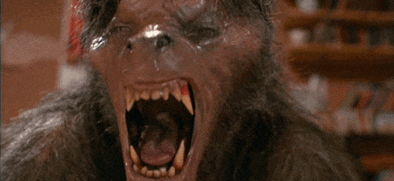 an american werewolf in london GIF