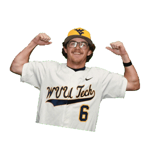 Baseball Sticker by WVU Tech Golden Bears
