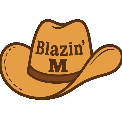 Cowboy Hat Sticker by BlazinMRanch