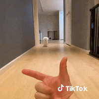 Chaton Gifs Get The Best Gif On Giphy