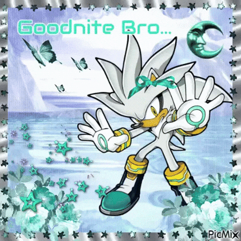 Sonic The Hedgehog GIF