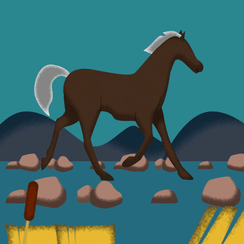 Sumit Gyawali GIF