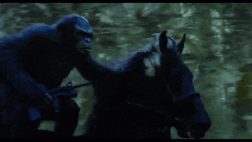 War For The Planet Of The Apes GIF by 20th Century Fox Home Entertainment