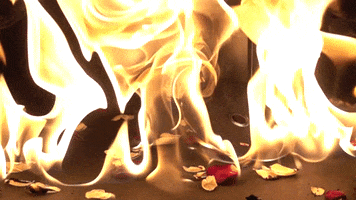 Andy Suzuki & The Method GIF