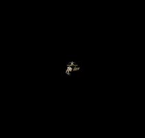 Barbiereitaliano GIF