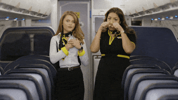 Spirit Airlines GIF