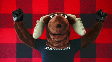 200.gif?cid=fc005b08697d1d49c474426e44d056aa221a8fed02b631f6&rid=200.gif&ct=g