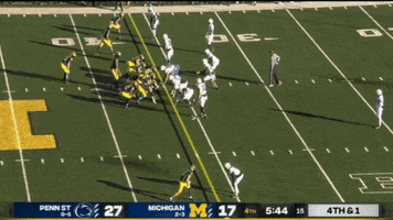 Michigan Football GIF