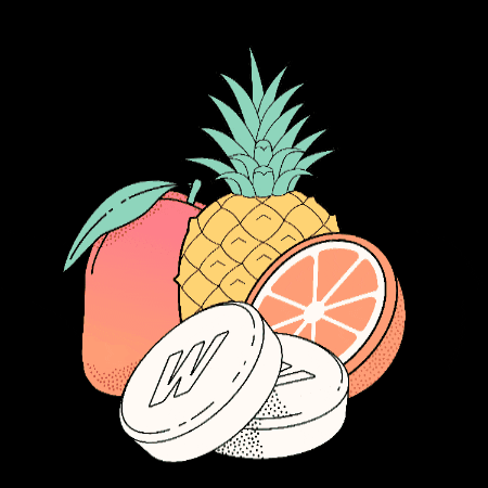 Orange Fruit GIF by Wonderbelly