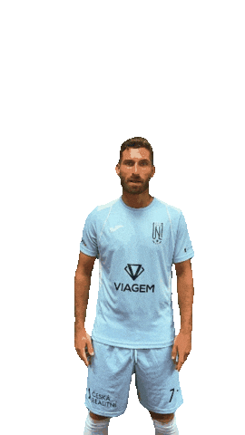 Fkviagem Sticker by Florbal Ústí