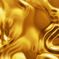 200.gif?cid=fc005b083fd48f3680d3759cfc62230566a37cc1cf850d89&rid=200.gif&ct=g