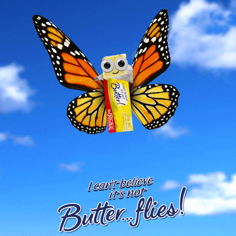 Happy Fly GIF by I Can’t Believe It’s Not Butter