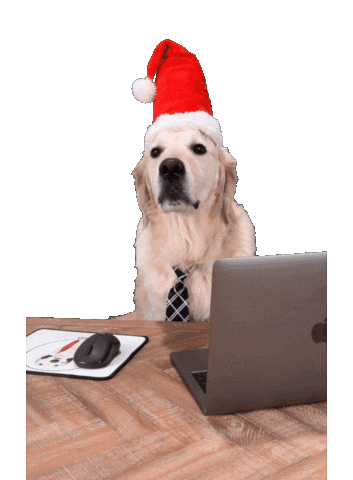 Dog Working Sticker by Rigatoni