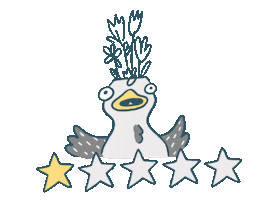 Stars Yes Sticker