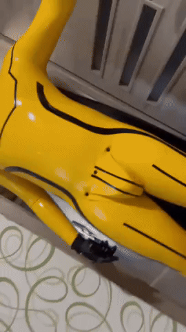 Animated GIF