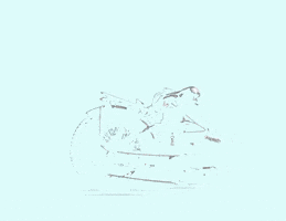 dmebike GIF