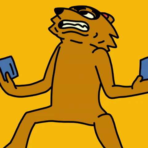 Visa Card Shopping GIF