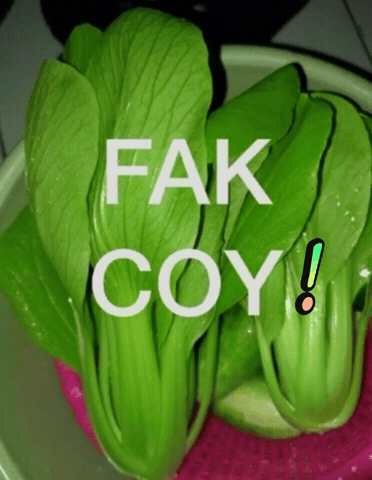 Fak Coy GIF