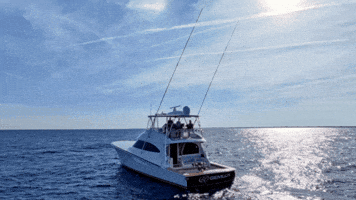 Viking Gulfstream GIF by GEMLUX