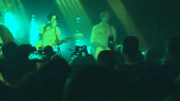 Band Fans GIF by modernlove.