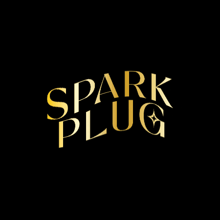 Spark Plug GIF